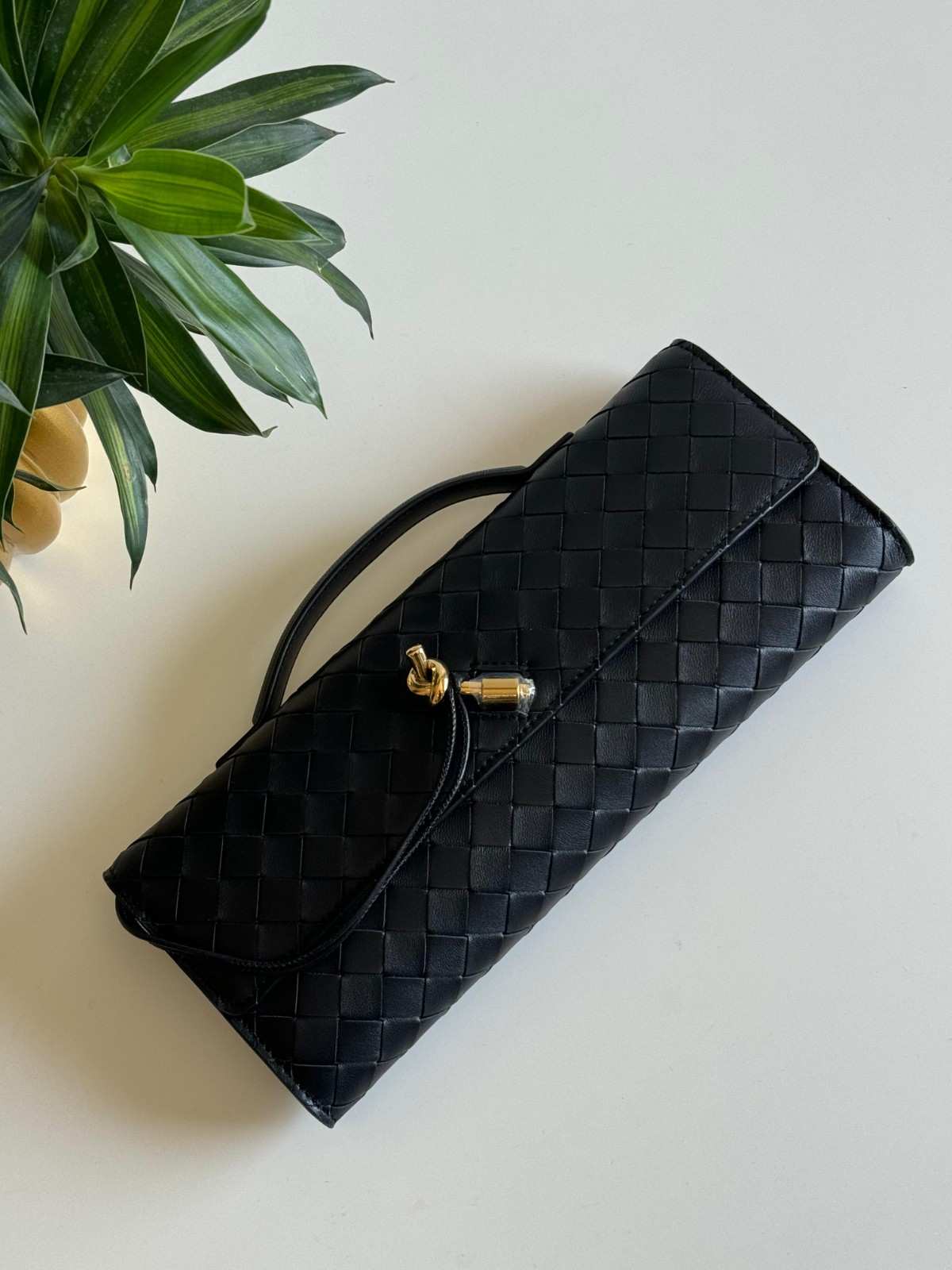 Bottega Veneta Andiamo long clutch