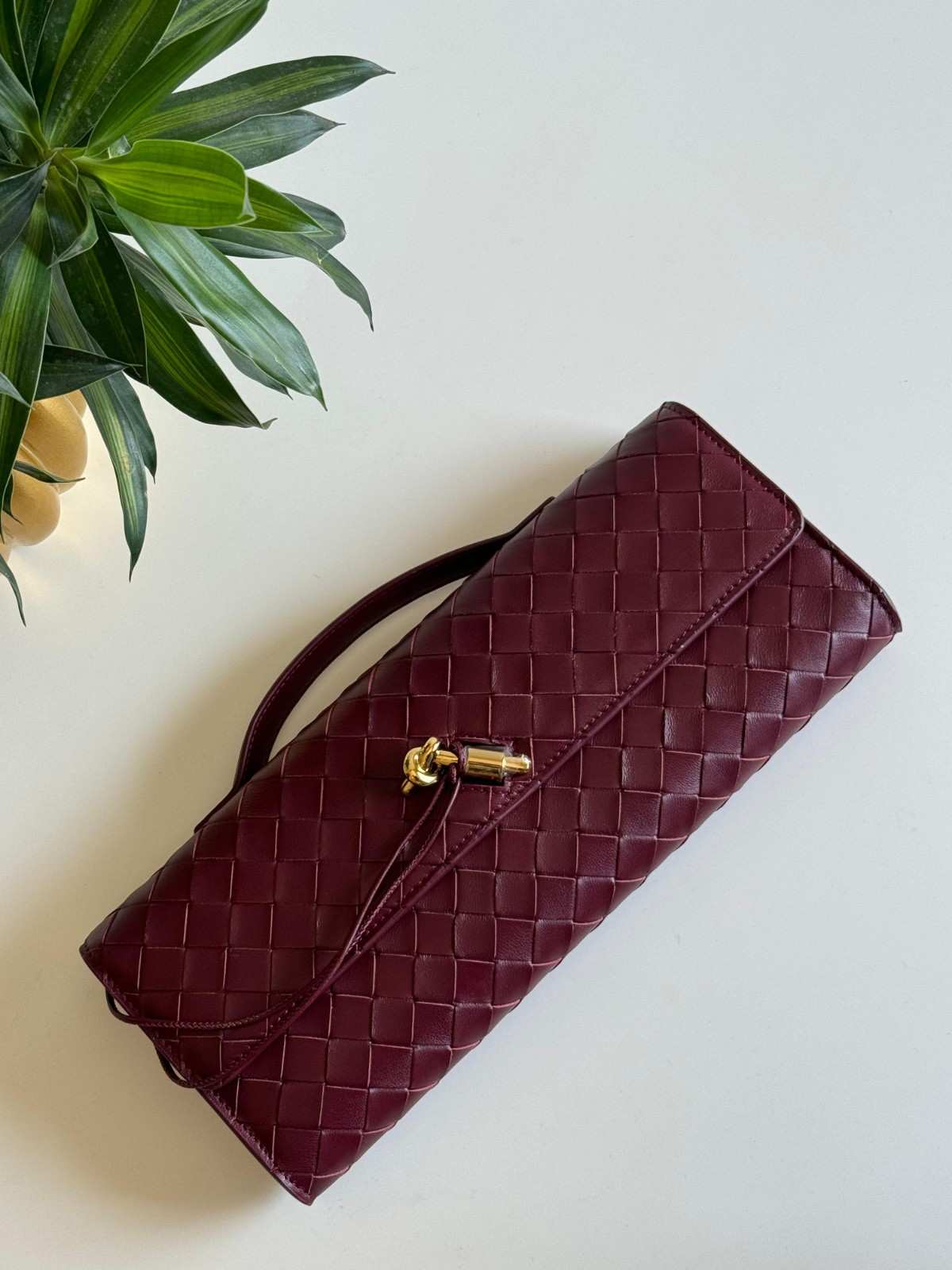 Bottega Veneta Andiamo long clutch