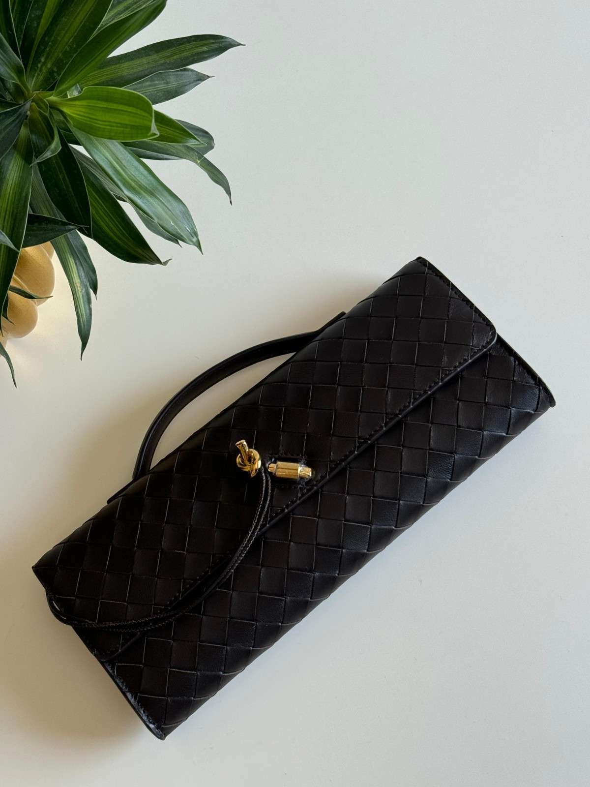 Bottega Veneta Andiamo long clutch