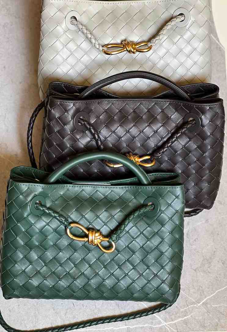 bottega veneta andiamo bag