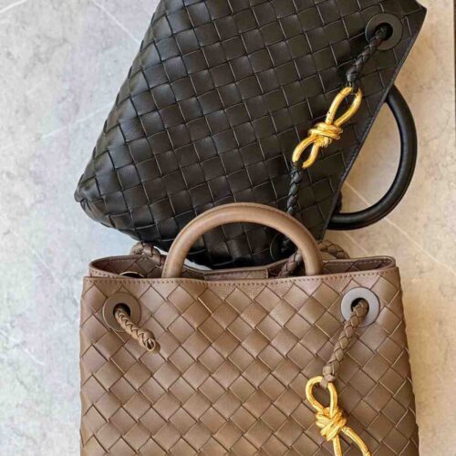 bottega veneta andiamo bag