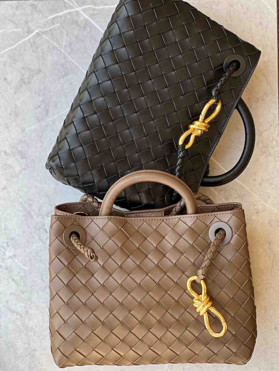 bottega veneta andiamo bag