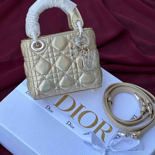 micro lady dior