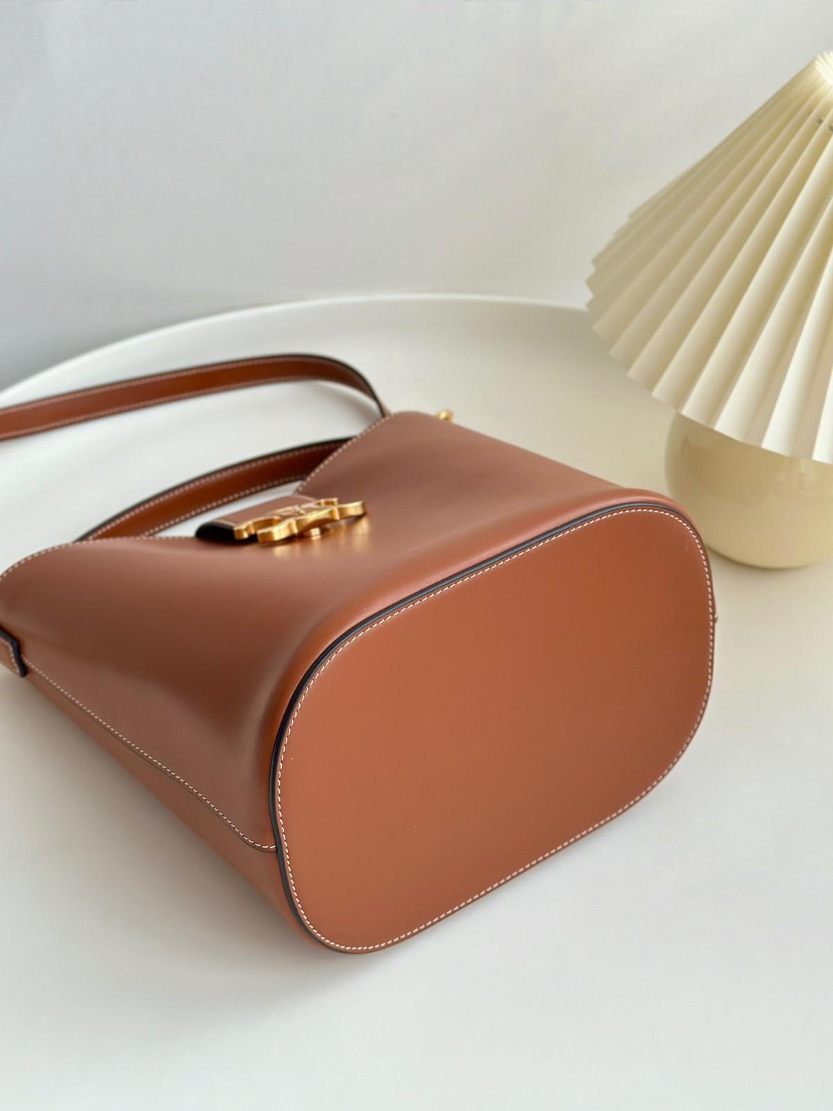 celine louise bag