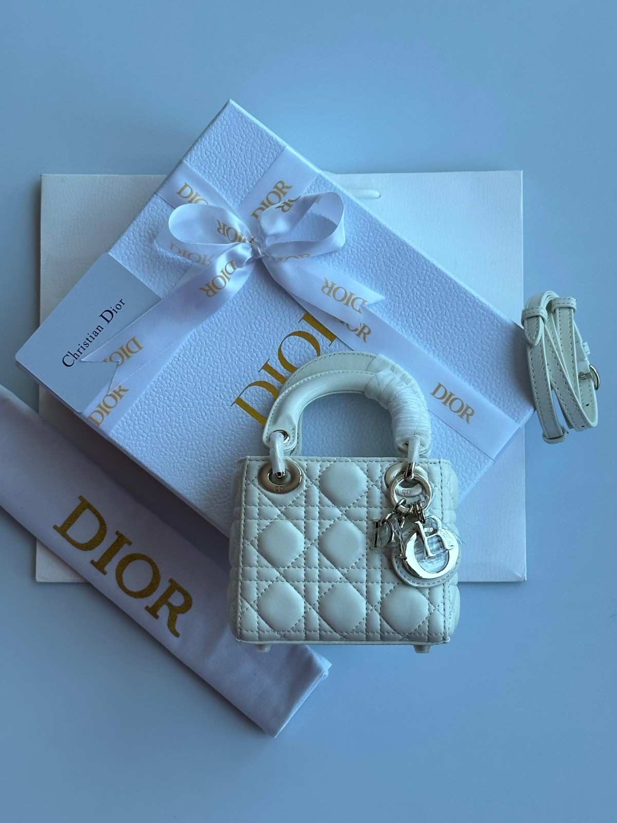 lady dior micro bag