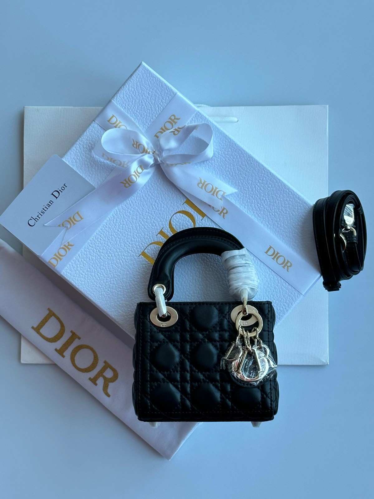 lady dior micro bag