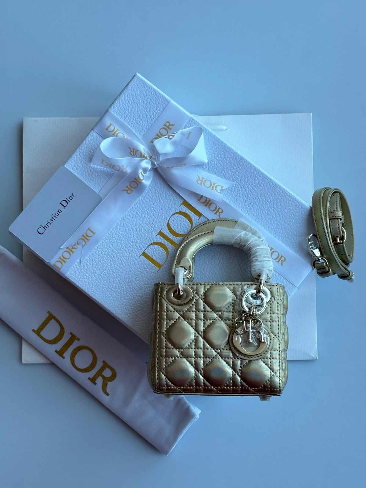 dior micro bag
