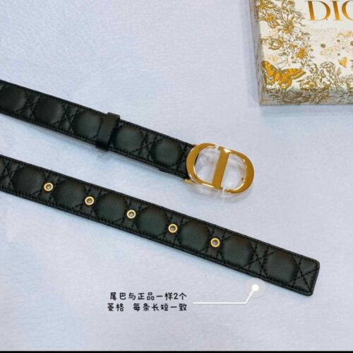 Dior Belt