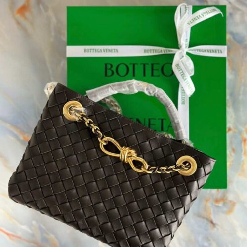 bottega andiamo bag