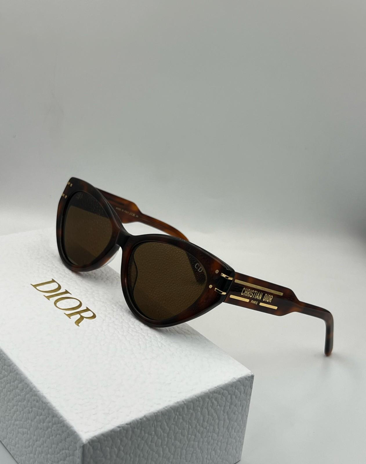 dior signature b71 sunglasses dark brown
