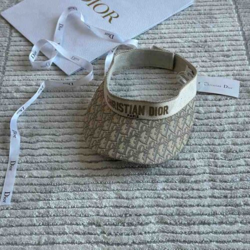 D-Smash Dior Oblique Visor Grey