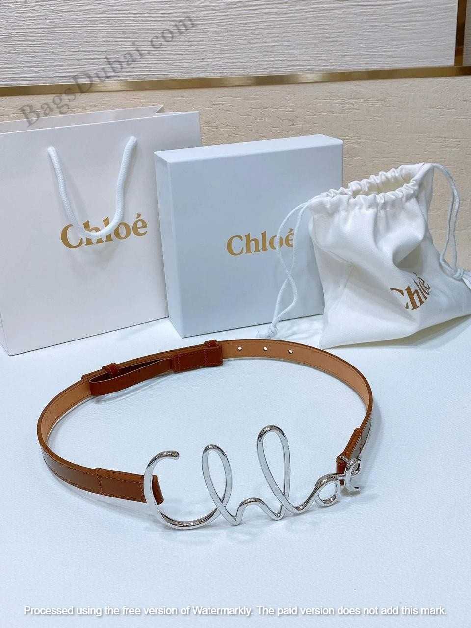 Chloe Belt Iconic Logo Brown