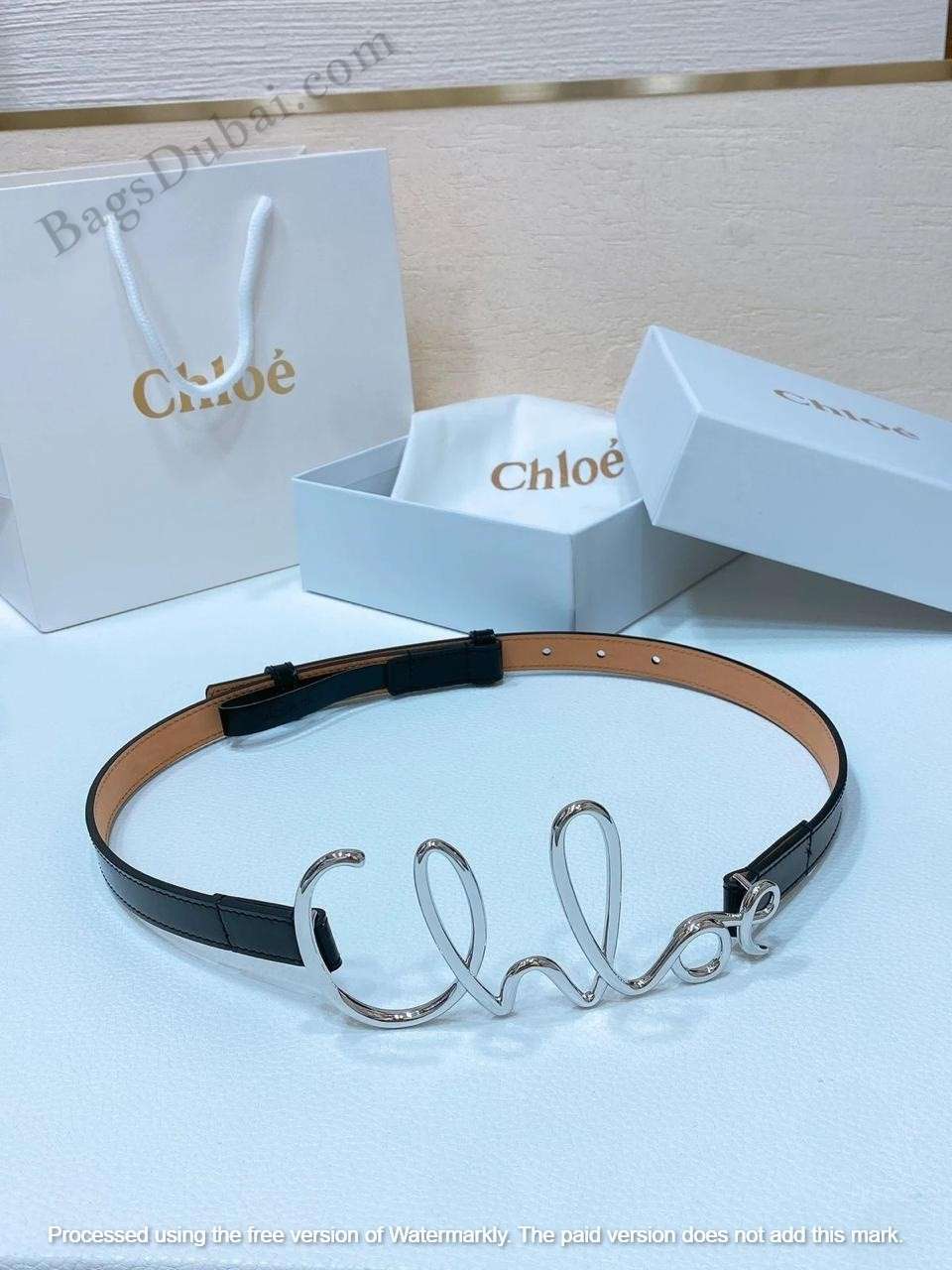 Chloe Iconic Logo Buckle Leather Small Belt In Dubai - Image 6