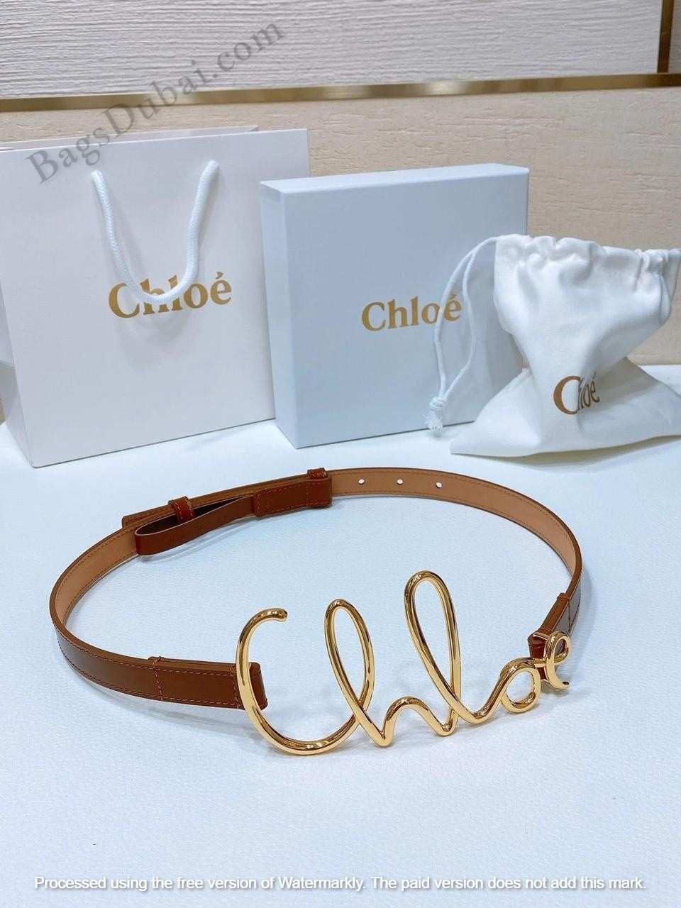Chloe Belt Iconic Logo Brown