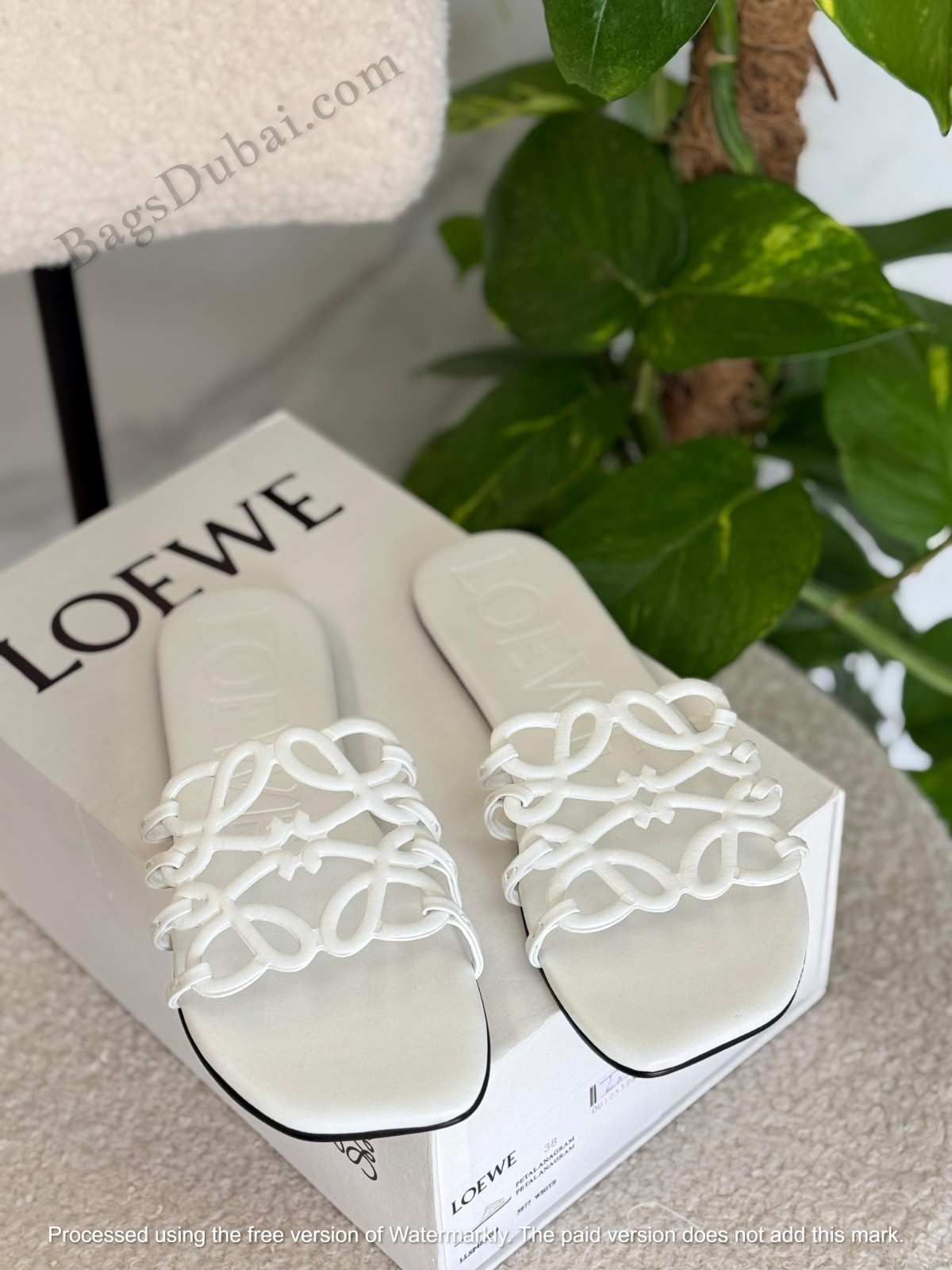 Loewe Sandals Petal Anagram White