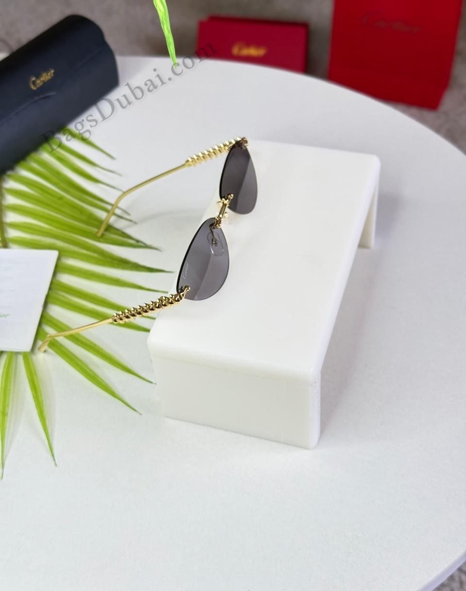 Clash de Cartier Sunglasses Black