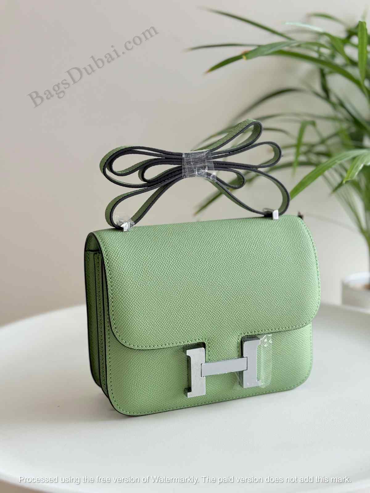 Mini Constance Wallet Light Green