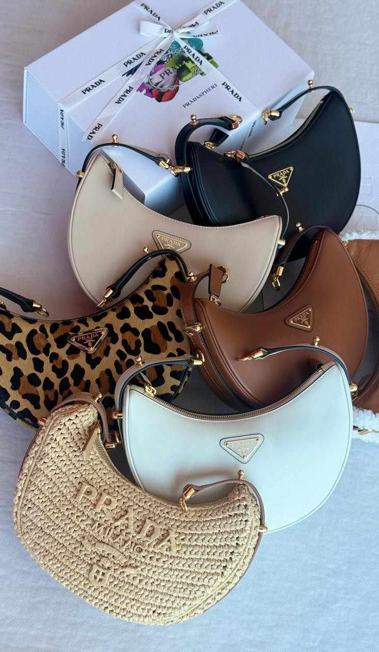 Prada Small Shoulder Bag Arque Leather