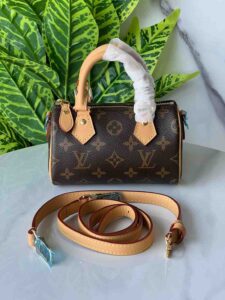 Louis Vuitton Nano Speedy